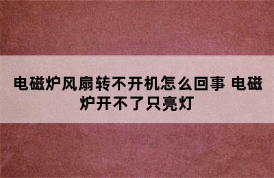 电磁炉风扇转不开机怎么回事 电磁炉开不了只亮灯